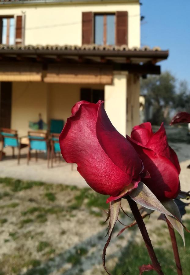 B&B Conca Del Pretore Loreto Aprutino Extérieur photo