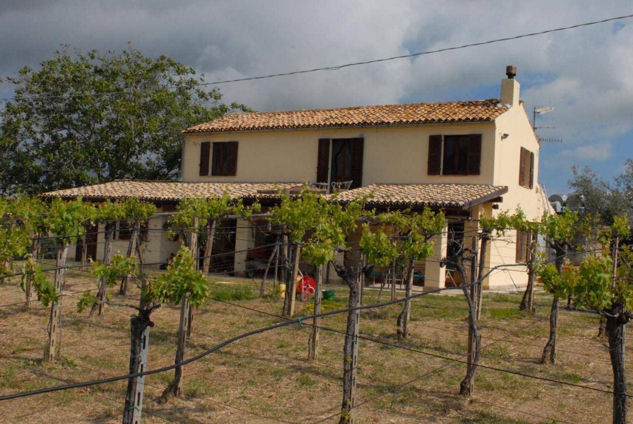 B&B Conca Del Pretore Loreto Aprutino Extérieur photo