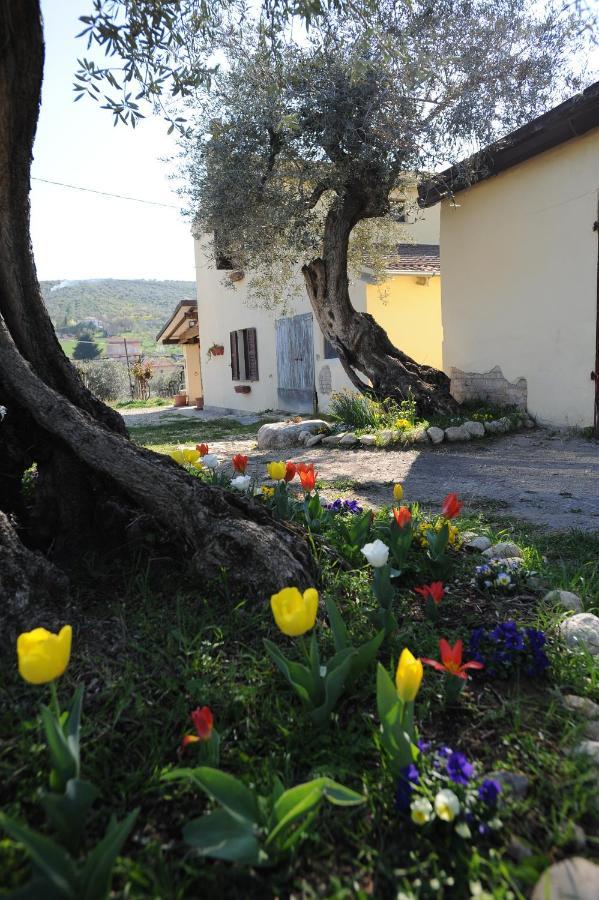 B&B Conca Del Pretore Loreto Aprutino Extérieur photo