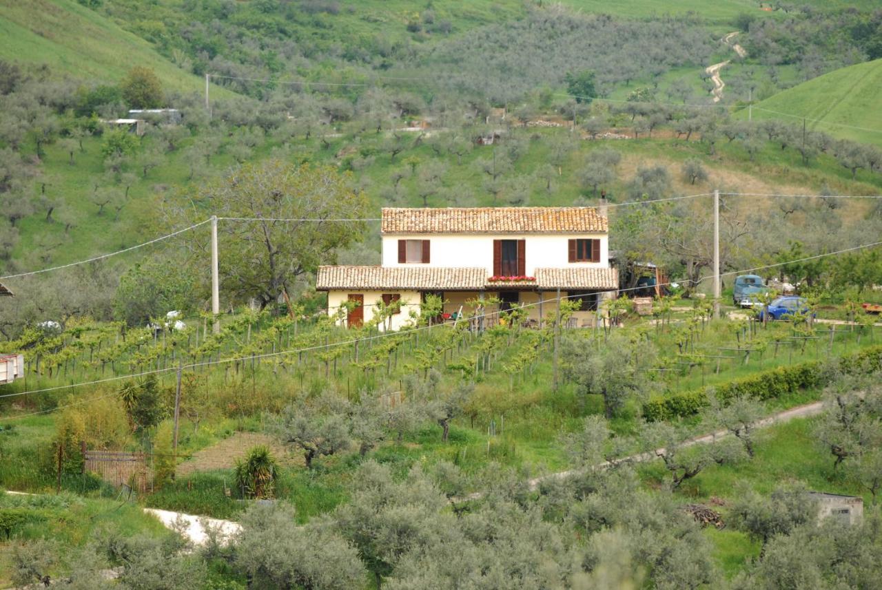 B&B Conca Del Pretore Loreto Aprutino Extérieur photo