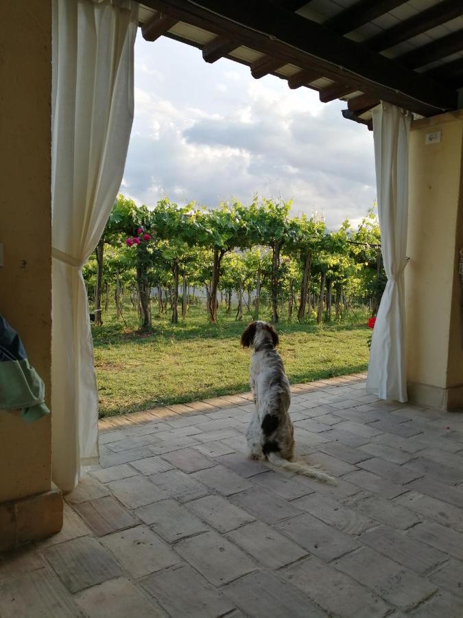 B&B Conca Del Pretore Loreto Aprutino Extérieur photo