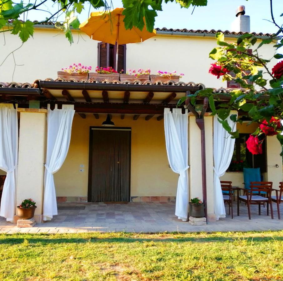B&B Conca Del Pretore Loreto Aprutino Extérieur photo